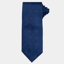 Men's Pure Silk Tie (D1510-2|REG)        
