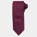 Men's Pure Silk Tie (D1315-1|REG)        