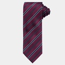 Men's Pure Silk Tie (D1152-1|REG)        