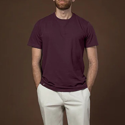 Men's T Shirt (CBJS-14/13|SLM|FOLA)