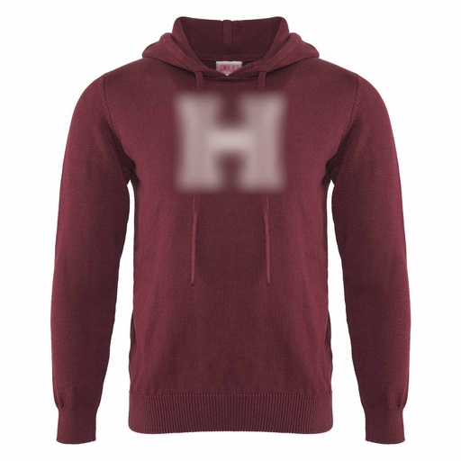 Harvard H Intarsia Hoodie