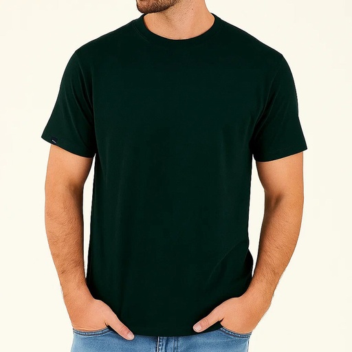 Men's T Shirt (PKTBH-6|RLX)